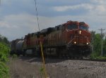 BNSF 6438 West